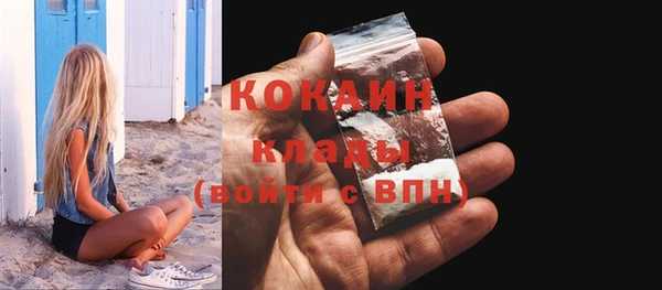 гашик Корсаков