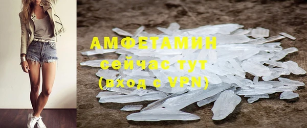 индика Киреевск