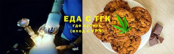 гашик Корсаков